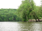 IMG 4706